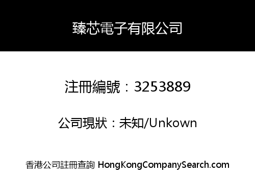 臻芯電子有限公司