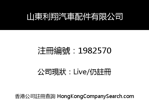 Shandong Leadsafe Auto Parts Co., Limited