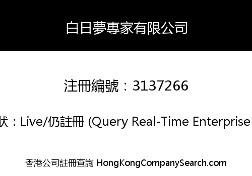 白日夢專家有限公司