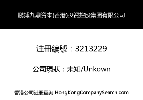 Pengbo Jiuding Capital (Hong Kong) Investment Holding Group Co., Limited