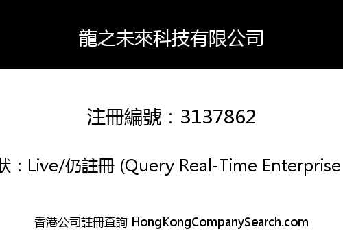 龍之未來科技有限公司