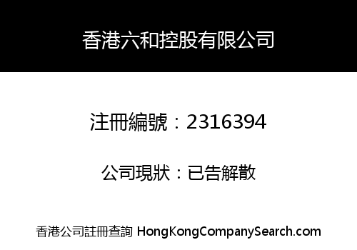 HONG KONG LIUHE HOLDING CO., LIMITED