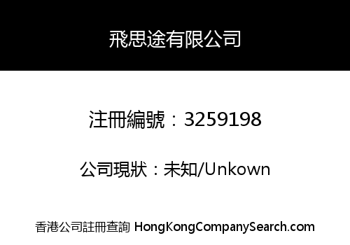 飛思途有限公司