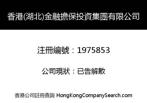 香港(湖北)金融擔保投資集團有限公司
