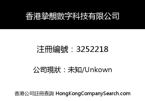 香港摯靚數字科技有限公司