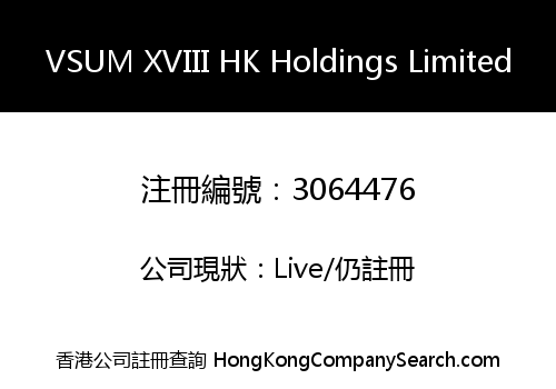 VSUM XVIII HK Holdings Limited