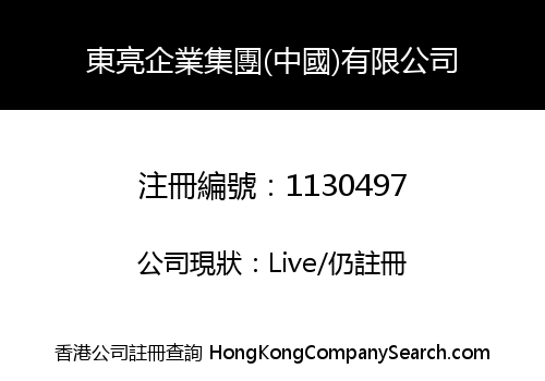 東亮企業集團(中國)有限公司