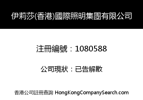 伊莉莎(香港)國際照明集團有限公司