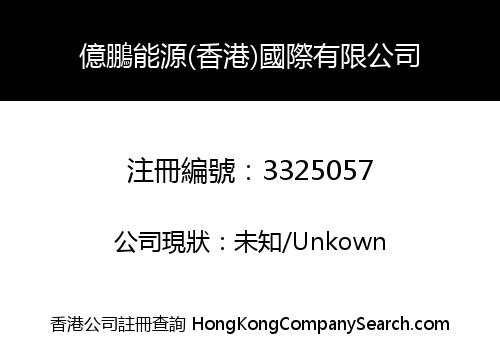 Elong Power (Hong Kong) International Limited