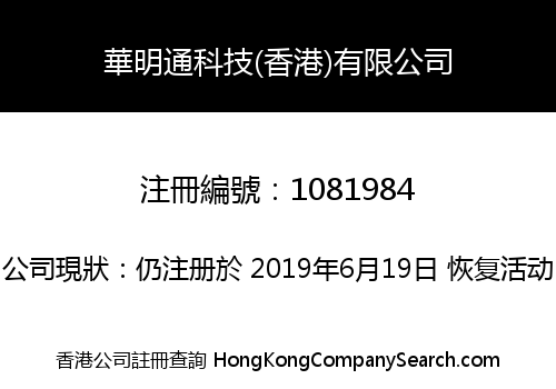 HUAMINGTONG TECHNOLOGY (HK) LIMITED