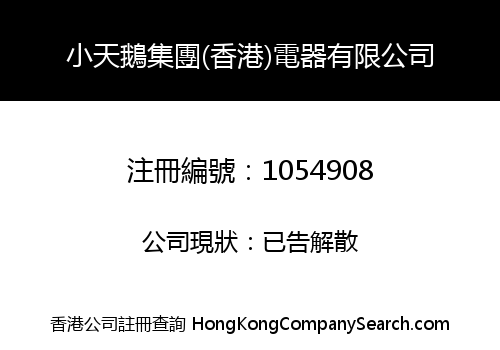 SMALL SWAN GROUP (HK) ELECTRIC LIMITED