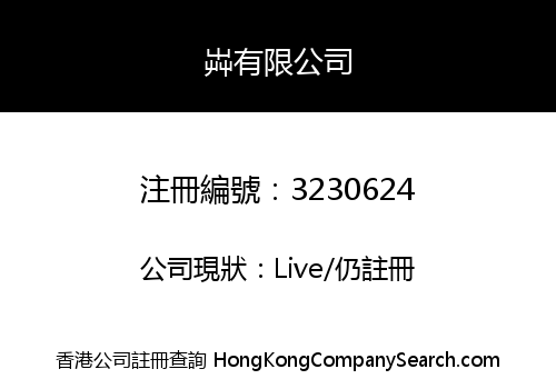 RIG COMPANY LIMITED