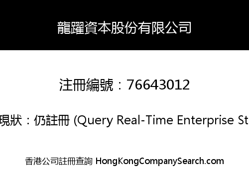 龍躍資本股份有限公司