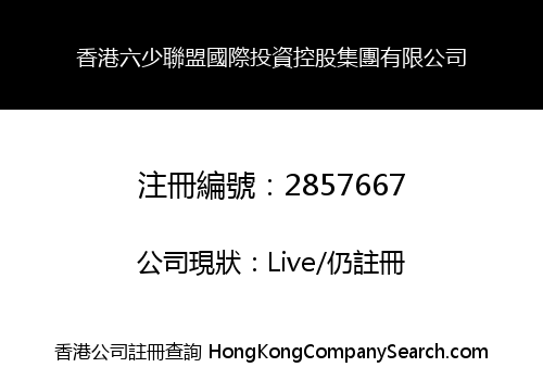 香港六少聯盟國際投資控股集團有限公司