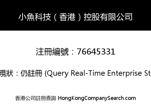 小魚科技（香港）控股有限公司