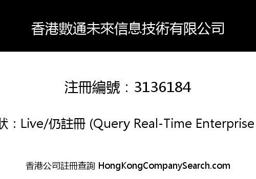 香港數通未來信息技術有限公司