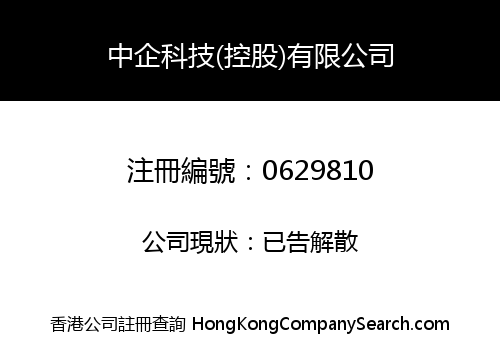 CE-TECHNOLOGY (HOLDINGS) COMPANY LIMITED