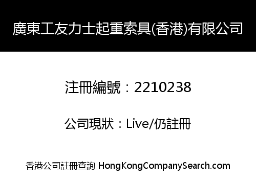 GUANGDONG GONGYOU LISHI LIFT SLINGS (HK) CO., LIMITED