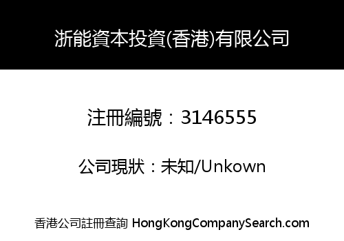 Zheneng Capital Investment (Hong Kong) Limited