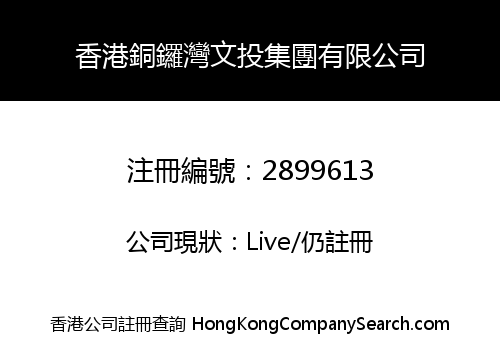 香港銅鑼灣文投集團有限公司
